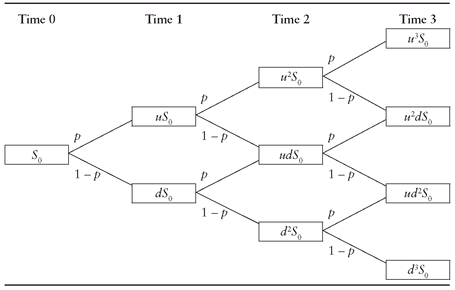 Binomial Option Model