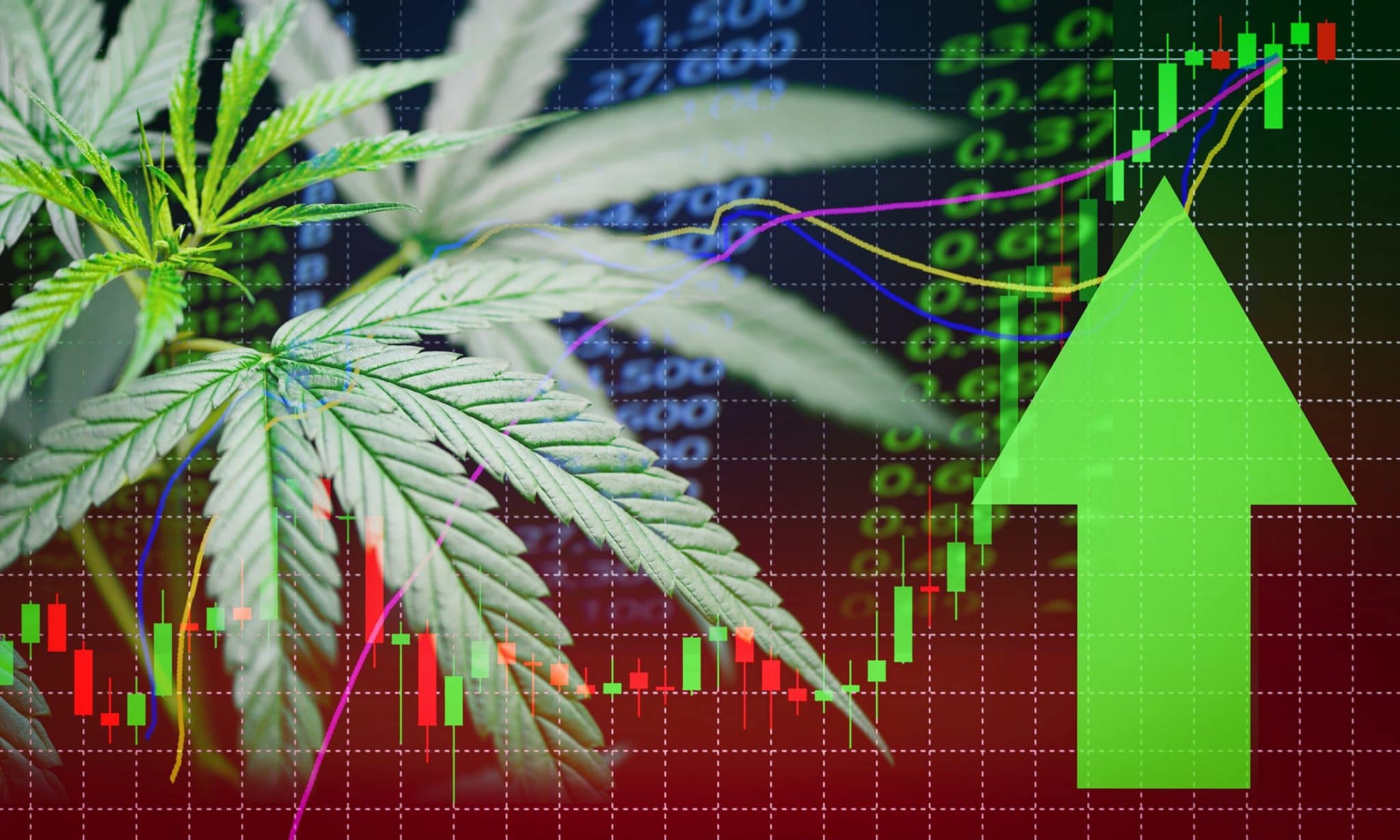 Investing In Cannabis Stocks & Cryptocurrencies - MarketXLS