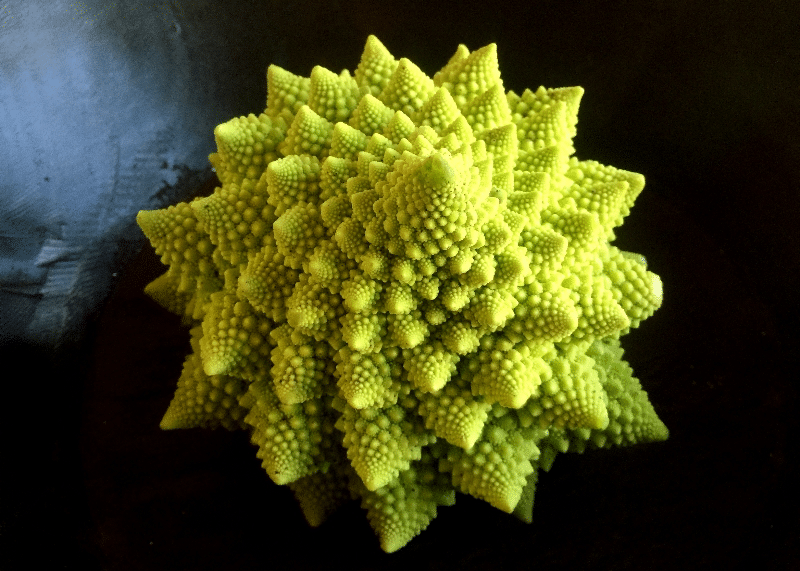 Fractal geometry occurring in nature