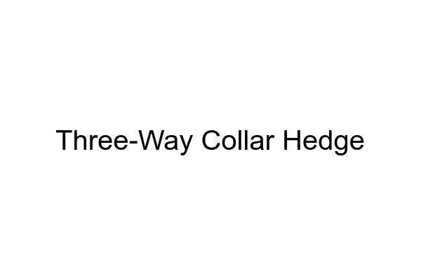 How to Utilize the ThreeWay Collar Hedge - MarketXLS